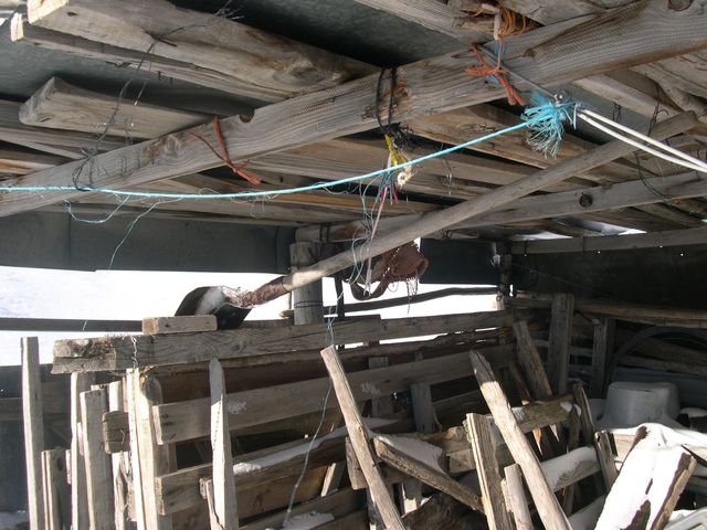 cabane_a_p_hiver_31.jpg