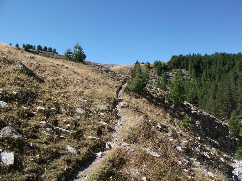 cabane_vieille_05.jpg