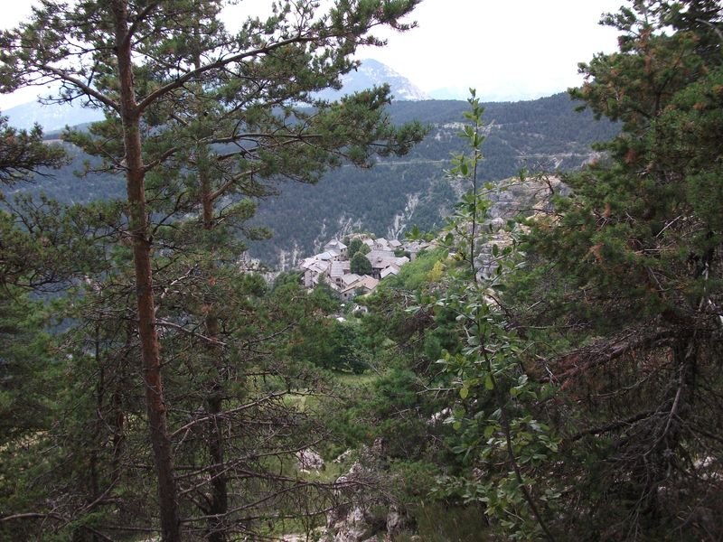 cabane_vieille_34.jpg