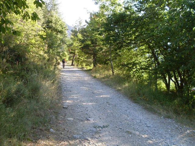 cabanes_du_puy.jpg
