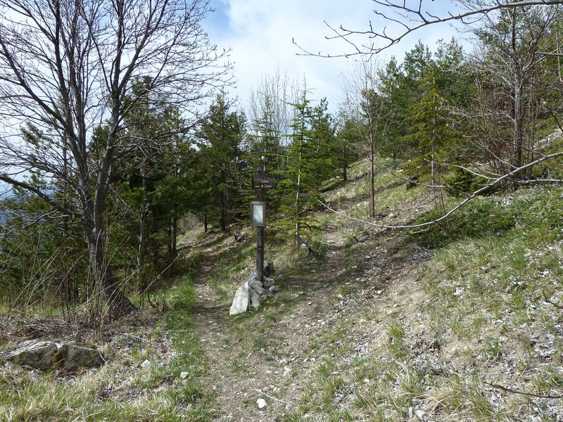chalvet_avril_2011_07.jpg