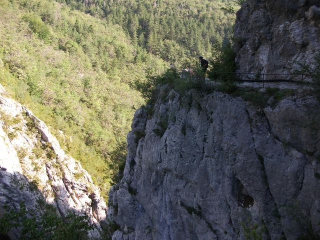chiran__13_07_2010_04.jpg