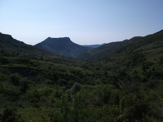 chiran__13_07_2010_12.jpg