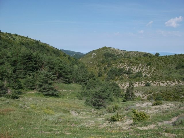 chiran__13_07_2010_14.jpg