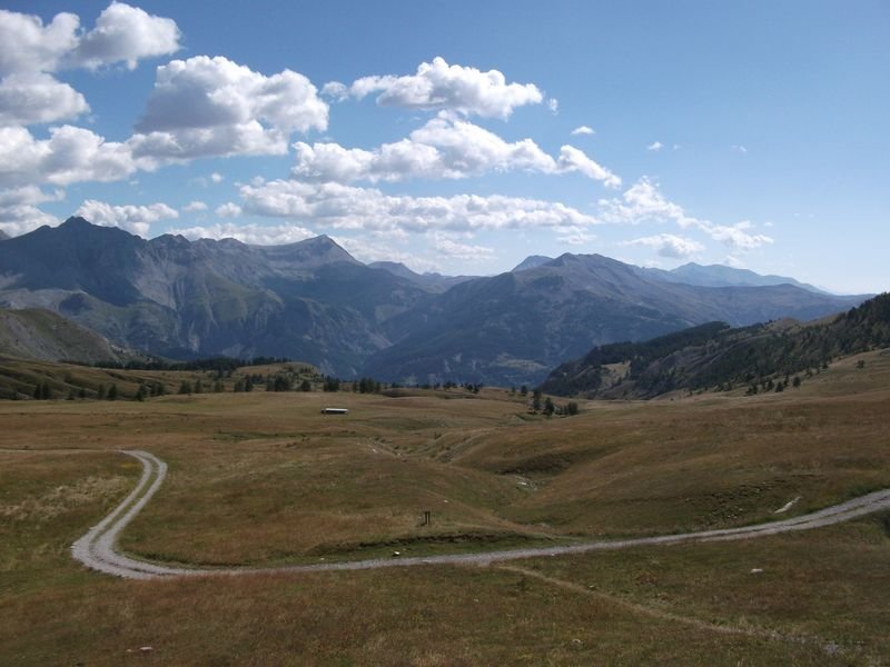 col_des_champs_04.jpg