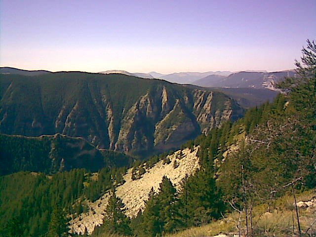couguyon_orgeas_04.jpg