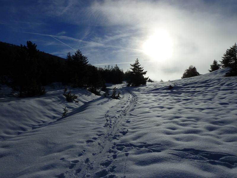 couradour_dec_2010_05.jpg