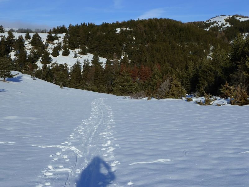 couradour_dec_2010_09.jpg