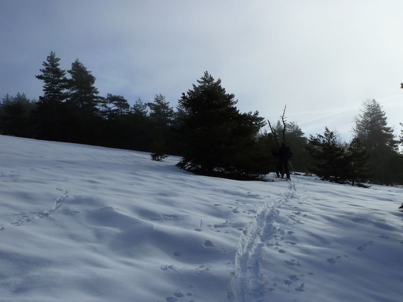 couradour_dec_2010_16.jpg