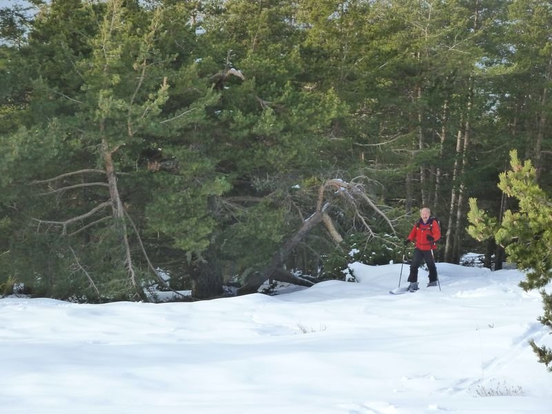 couradour_dec_2010_17.jpg