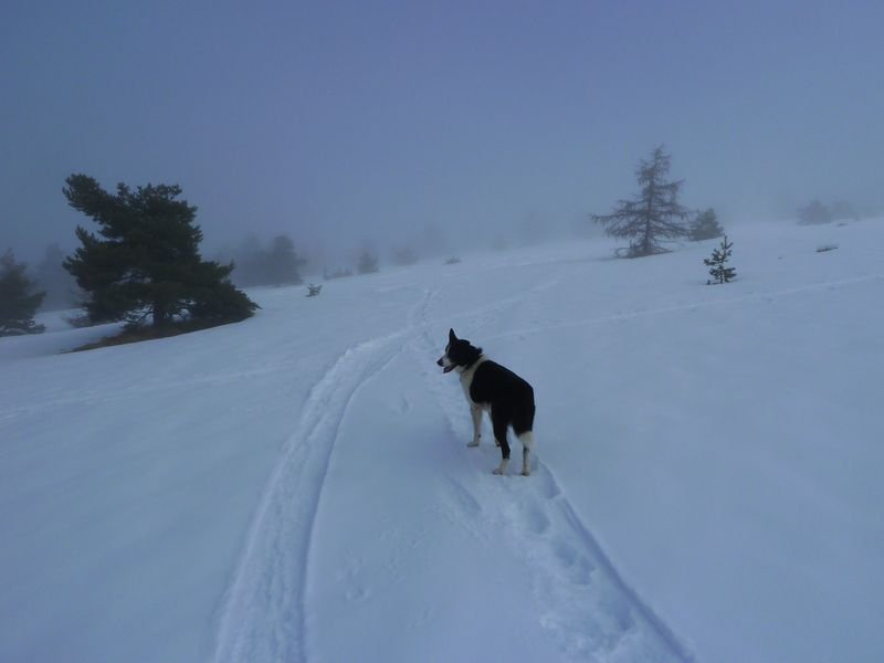 couradour_dec_2010_23.jpg