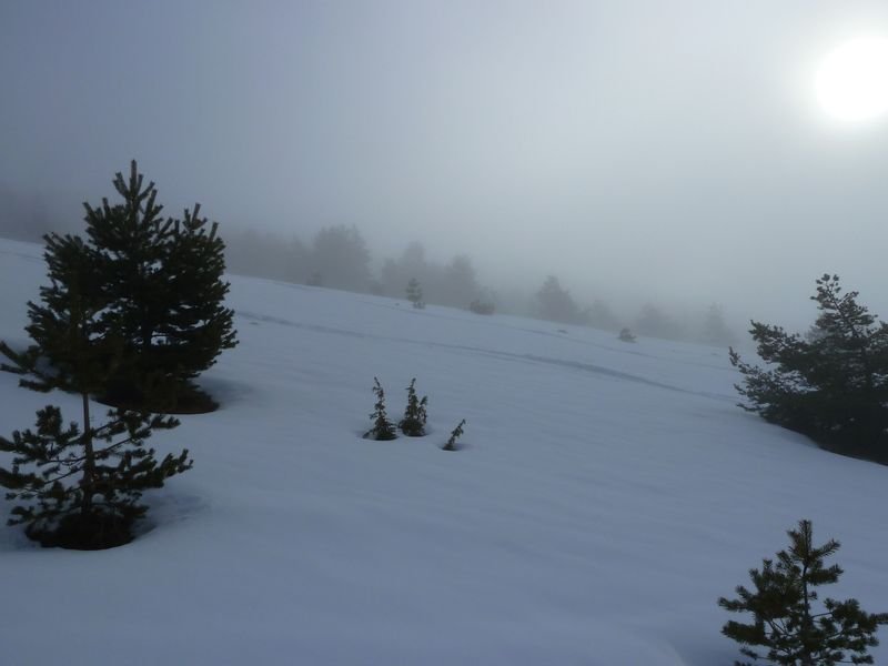 couradour_dec_2010_25.jpg