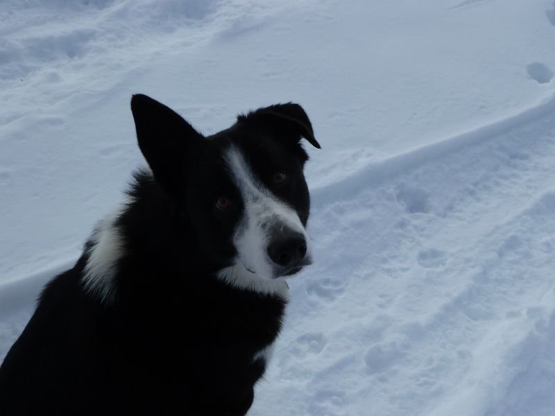 couradour_dec_2010_30.jpg