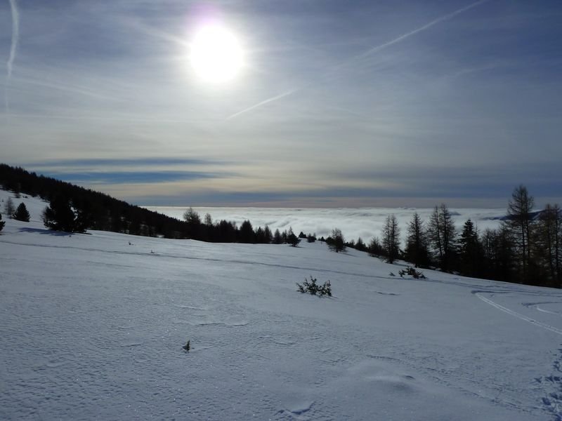 couradour_dec_2010_43.jpg
