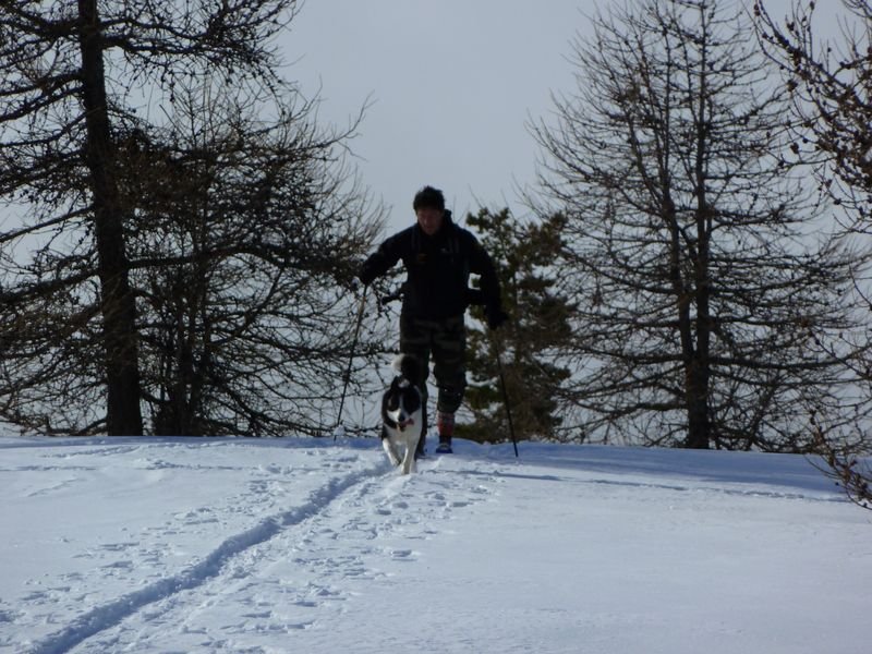 couradour_dec_2010_44.jpg