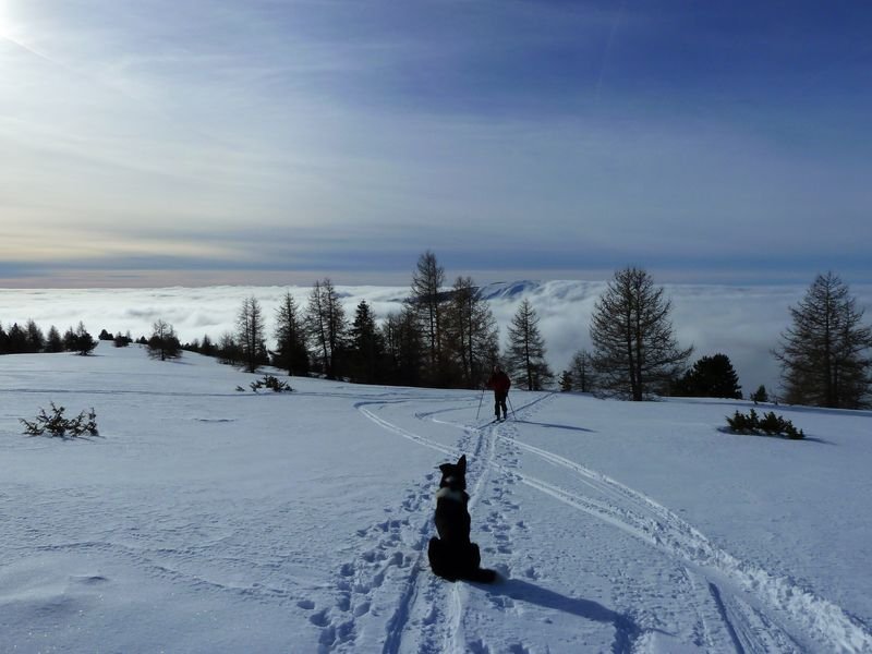 couradour_dec_2010_47.jpg
