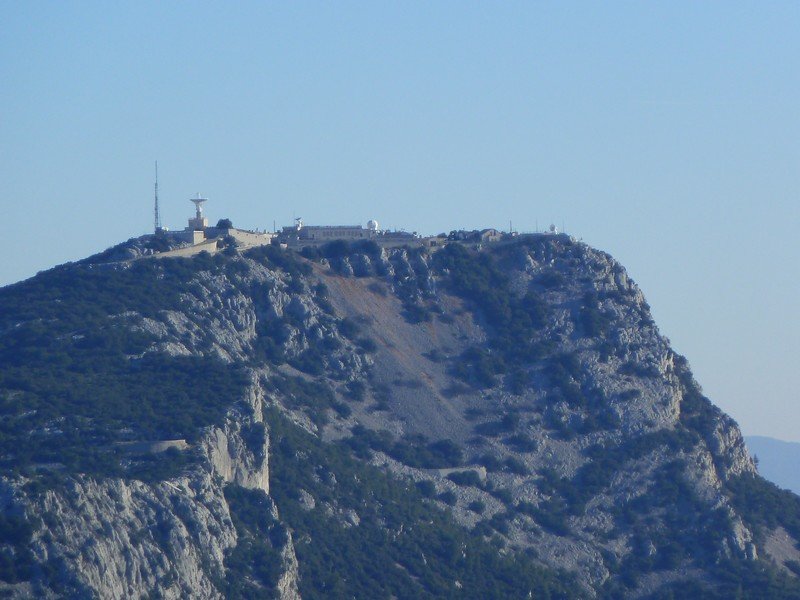 faron_03_12_10_001.jpg