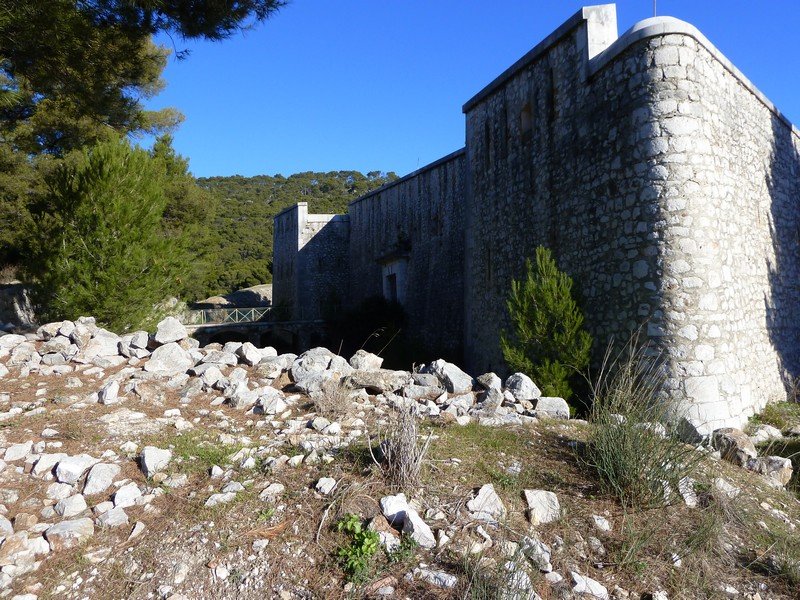 faron_03_12_10_007.jpg