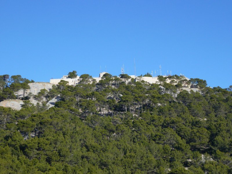 faron_03_12_10_009.jpg