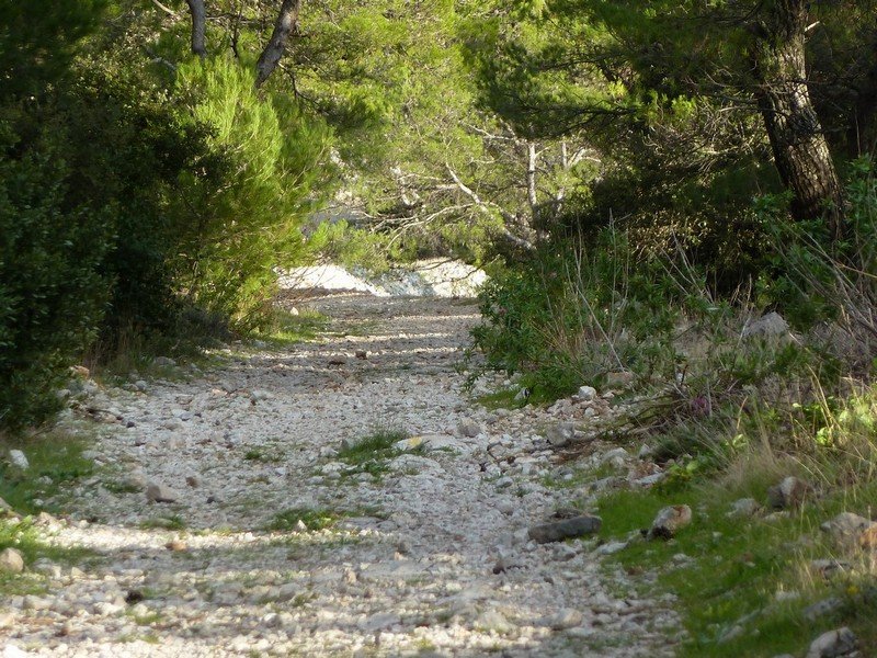 faron_24_11_2010_010.jpg