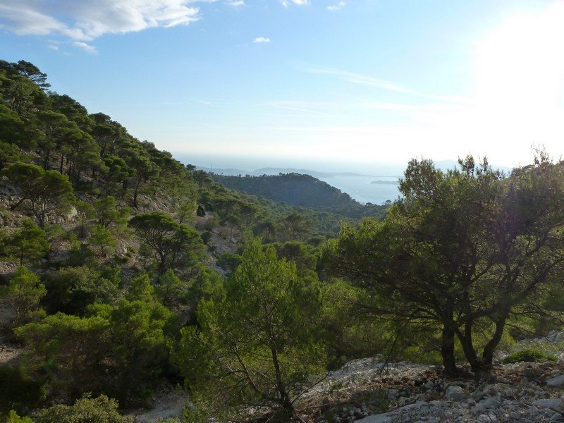 faron_24_11_2010_013.jpg