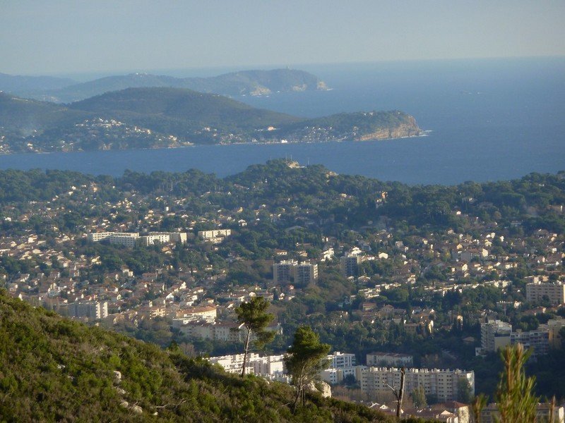 faron_24_11_2010_016.jpg