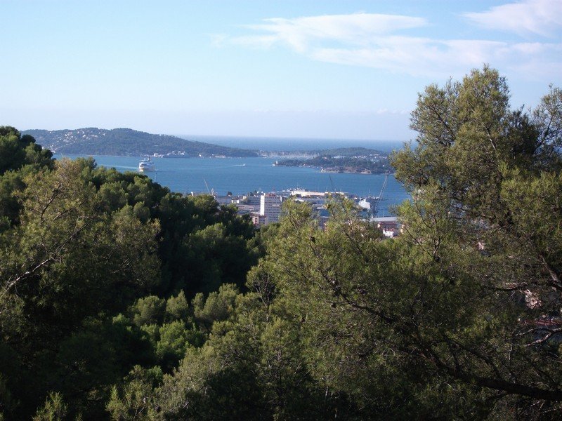 faron_26_09_2010.jpg
