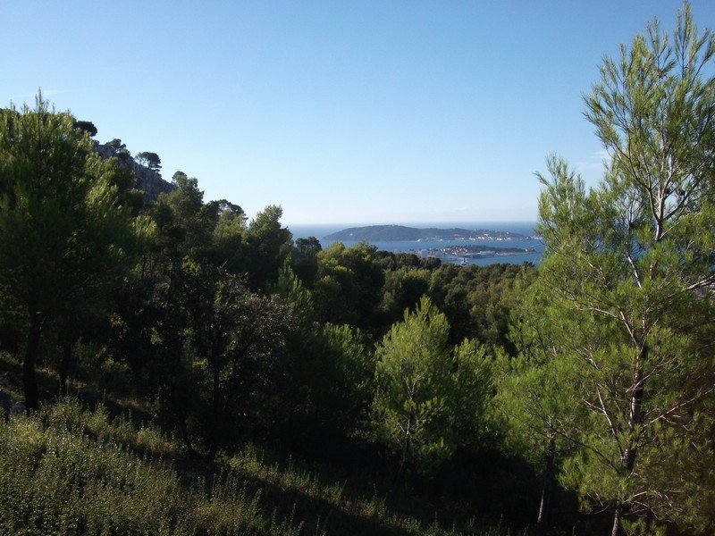 faron_26_09_2010_03.jpg