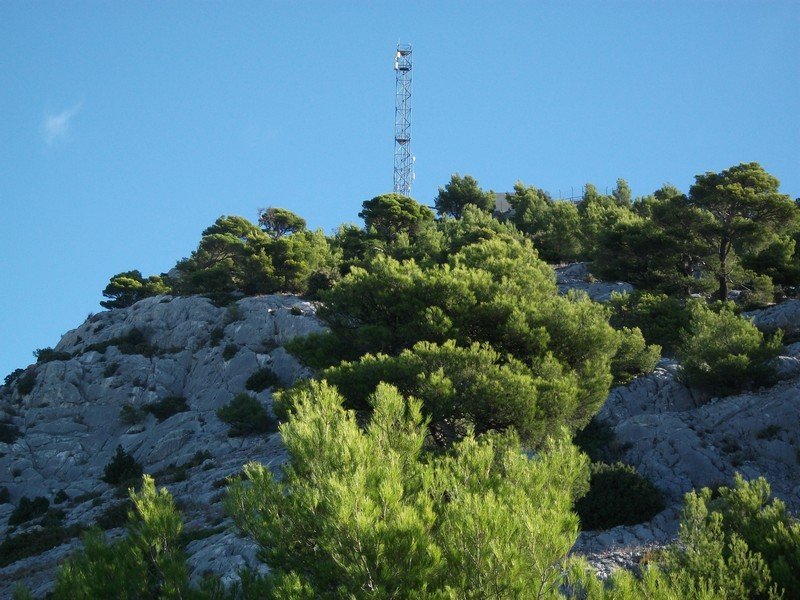 faron_26_09_2010_11.jpg