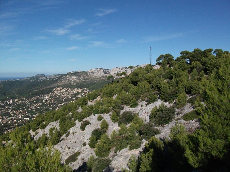 faron_26_09_2010_17.jpg