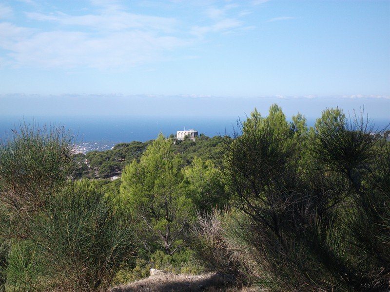 faron_26_09_2010_36.jpg
