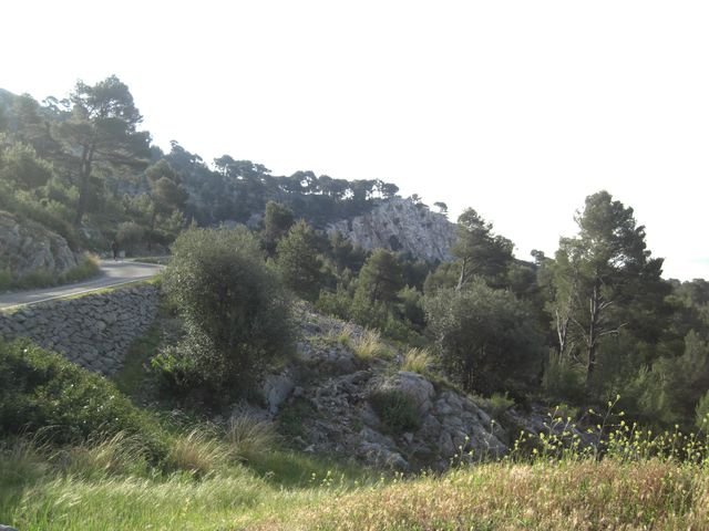 faron_classique_07.jpg