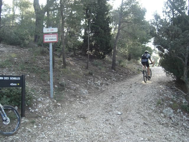 faron_classique_13.jpg