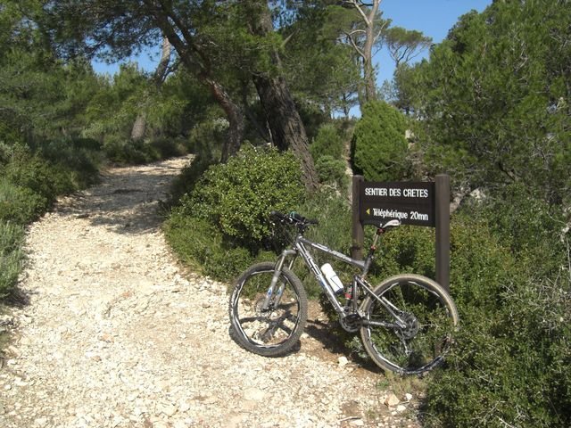 faron_classique_49.jpg