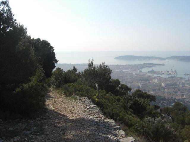 faron_classique_60.jpg