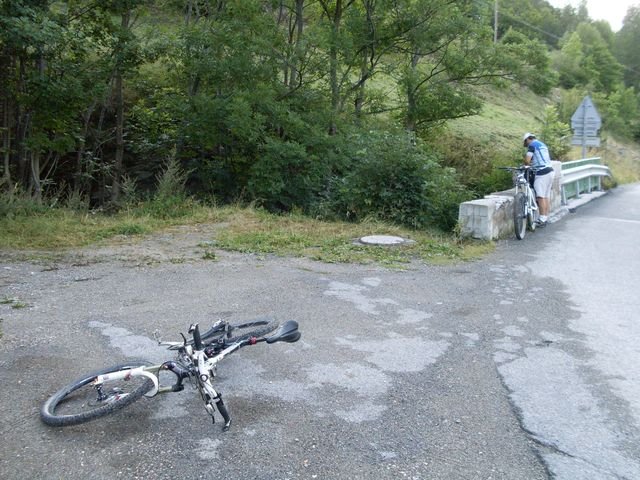 foux_seignus.jpg
