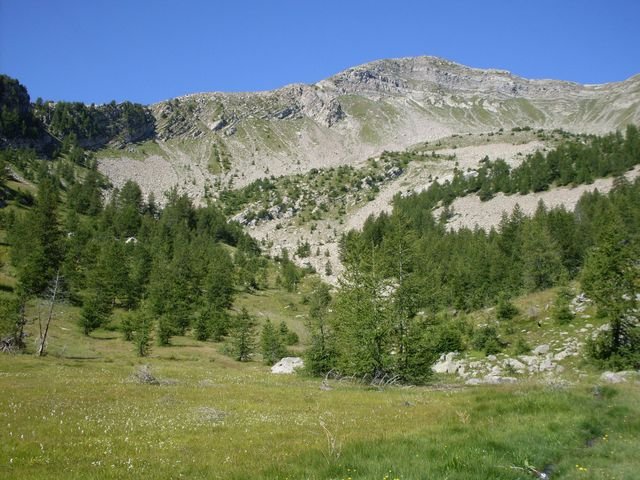 foux_seignus_25.jpg