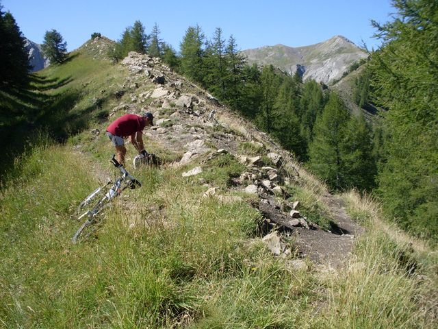 foux_seignus_27.jpg