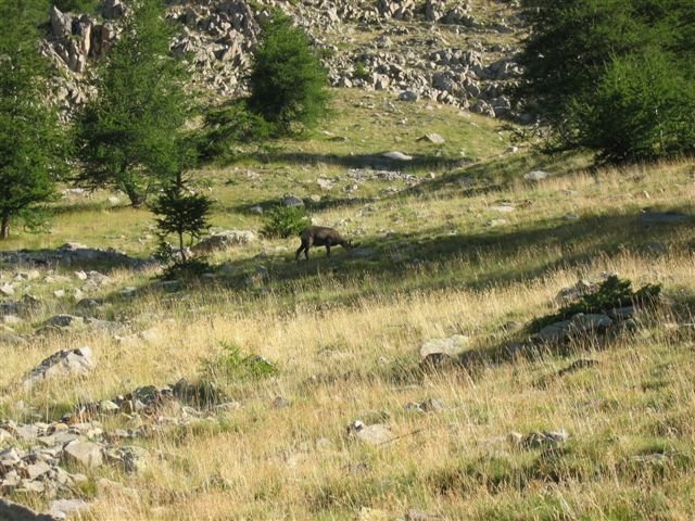 l_encombrette_28329.jpg