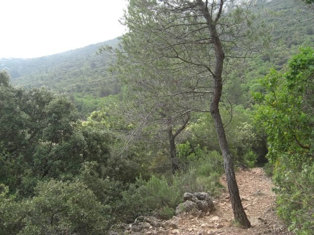 le_coudon_09.jpg