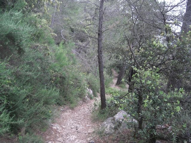 le_coudon_11.jpg