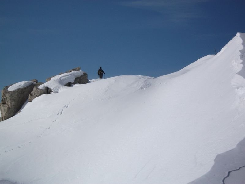 le_puy-ours_mars_2011_42.jpg