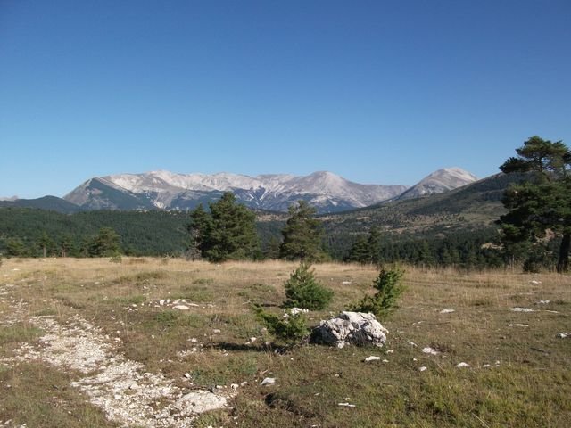 maurel_06.jpg