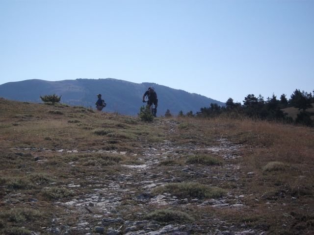 maurel_08.jpg