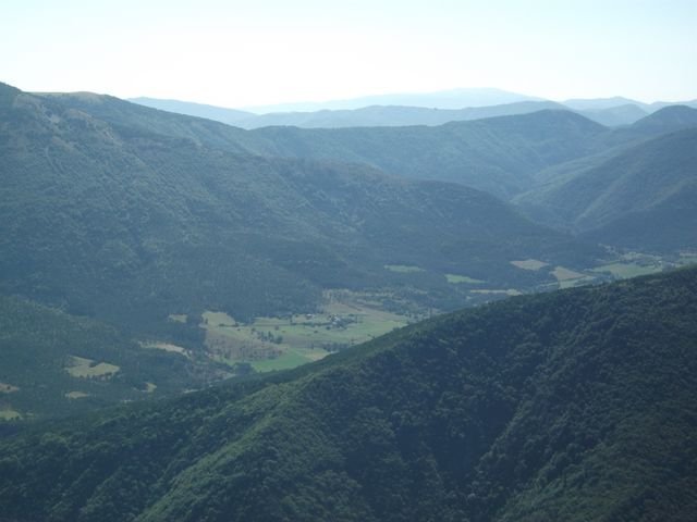 maurel_14.jpg