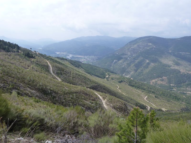 maurel_avril_2011_12.jpg