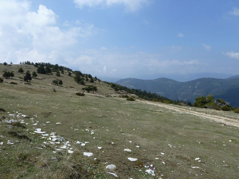 maurel_avril_2011_17.jpg