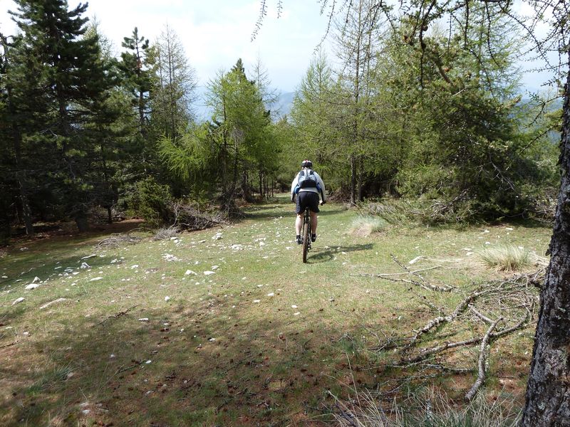 maurel_avril_2011_35.jpg