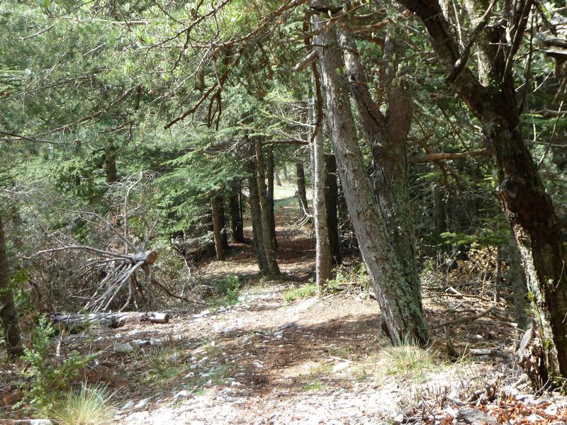 maurel_avril_2011_37.jpg