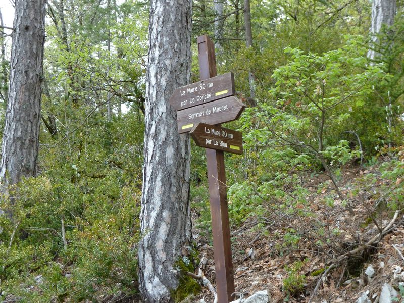 maurel_avril_2011_48.jpg